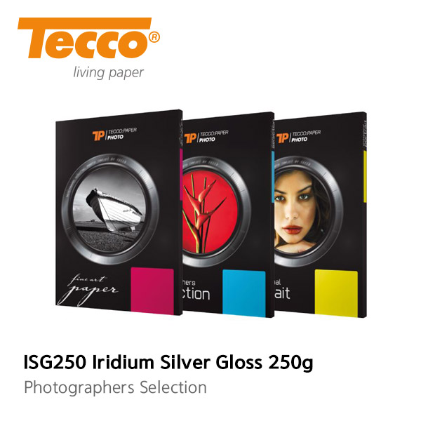 머스트컬러 테코포토 ISG250 Iridium Silver Gloss 250g [메탈 통합](테코포토)